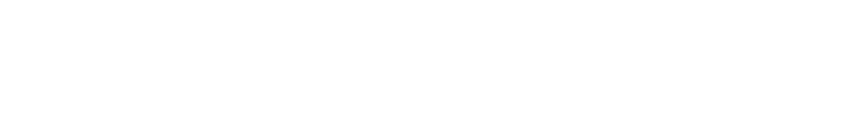 NewSovix